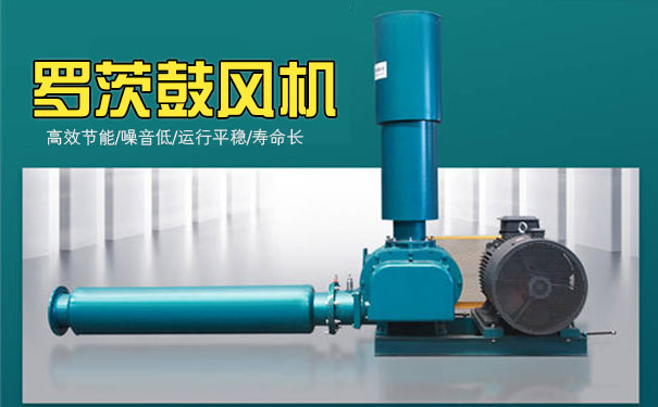 羅茨風機 羅茨風機