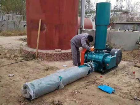 工人師傅在對三葉羅茨鼓風(fēng)機運行維護(hù)