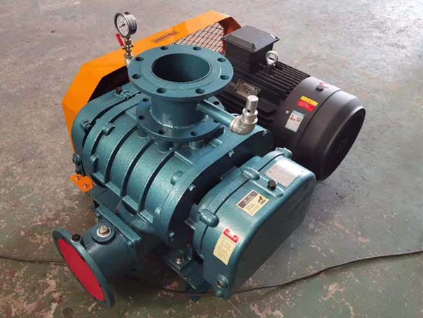 羅茨真空泵 羅茨風(fēng)機(jī)廠家發(fā)貨江西羅茨真空泵XQSSR125v5臺(圖1)